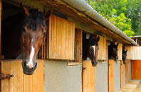 free Pentraeth stable construction quotes